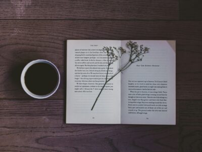 Understanding the Core Subjects in PUC Commerce